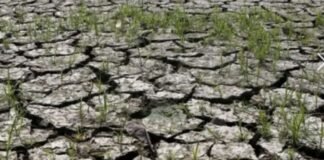 Solomon Water Urges Customers to Prepare for El Nino Impacts