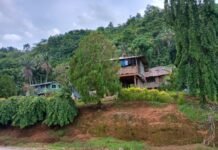 Urgent Call for Network Improvement in Ward 15 East Kwara’ae