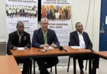Audit Raises Customs and Financial Control Concerns