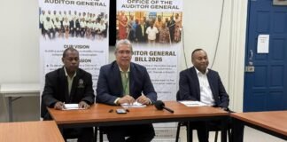 Audit Raises Customs and Financial Control Concerns