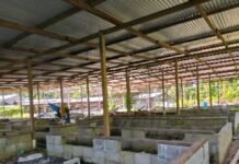 Prosperity Farm Supplies Successfully Submits Financial Acquittal Report for 2025 MALD Grant