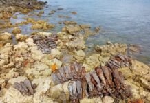 RSIPF Responds after WWII Explosive Ordnances Exposed by TC Maila