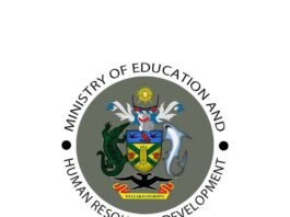 Skills Recognised, Careers Strengthened