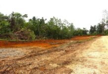 Health Permanent Secretary and Senior Executives Visit Sasamunga Hospital and Choiseul Bay Relocation Site