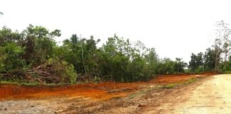 Health Permanent Secretary and Senior Executives Visit Sasamunga Hospital and Choiseul Bay Relocation Site