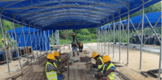 From 50 to 200: Local Employment Expands in Auki Road Rehabilitation Project