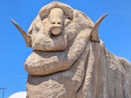 Free Media, Strong Democracies: Solomon Islands Media Visit Canberra and Sydney