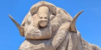 Free Media, Strong Democracies: Solomon Islands Media Visit Canberra and Sydney