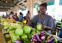 AIM-N Project Undertakes Courtesy Calls to Western, Choiseul and Isabel Provincial Governments