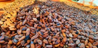 MALD Calls for Revocation of Newly Increased CEMA Fees