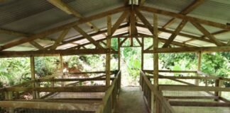 SIART Empowers Local Pig Farmers to Manage Their Agribusiness