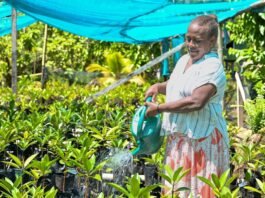 Climate Protection for Malu’u Market Receives Global Attention