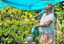 Climate Protection for Malu’u Market Receives Global Attention