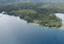 Bina Harbour Project Update to Cabinet