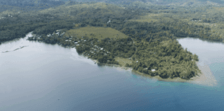 Bina Harbour Project Update to Cabinet