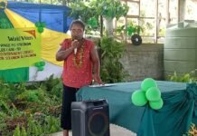 Ward 28 Representative Urges Strong Forest Protection for Future Generations