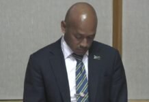 Minister Vave Raises Concerns over Timing During No-Confidence Debate