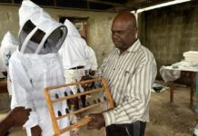 World Bee Day 2026: Solomon Islands Champions Beekeeping for People and Planet