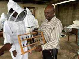 World Bee Day 2026: Solomon Islands Champions Beekeeping for People and Planet