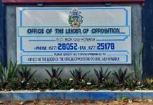 Opposition Calls for National Attention and Practical Disaster Recovery Leadership