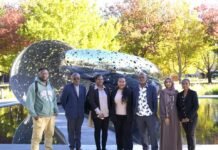 Australia Visit Sharpens Skills for Solomon Islands Government Communications Officers