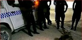 RSIPF Arrests Suspected “96 Gang” Member at Marble Street